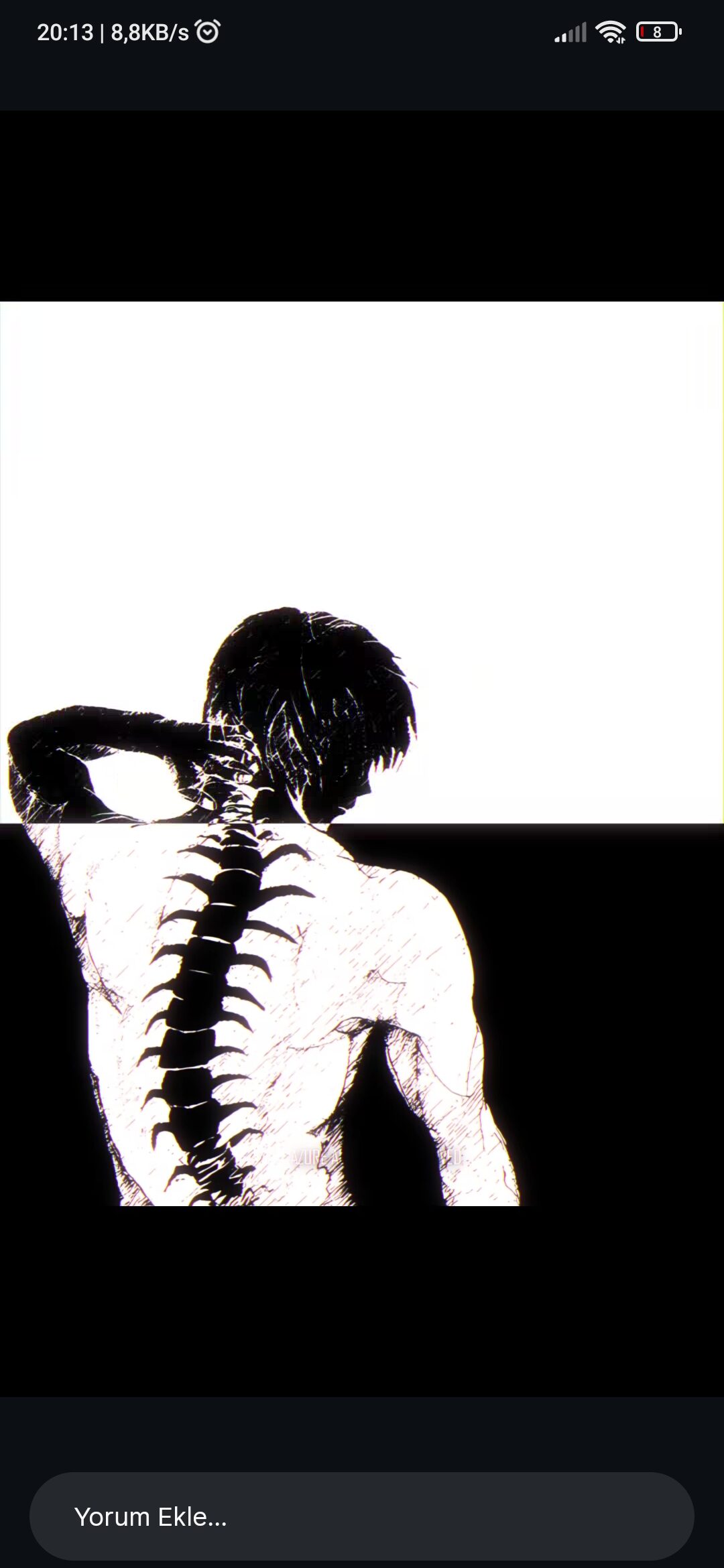 Adonis cover