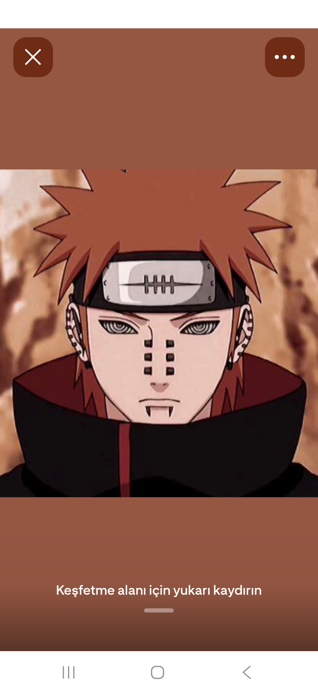 pein cover