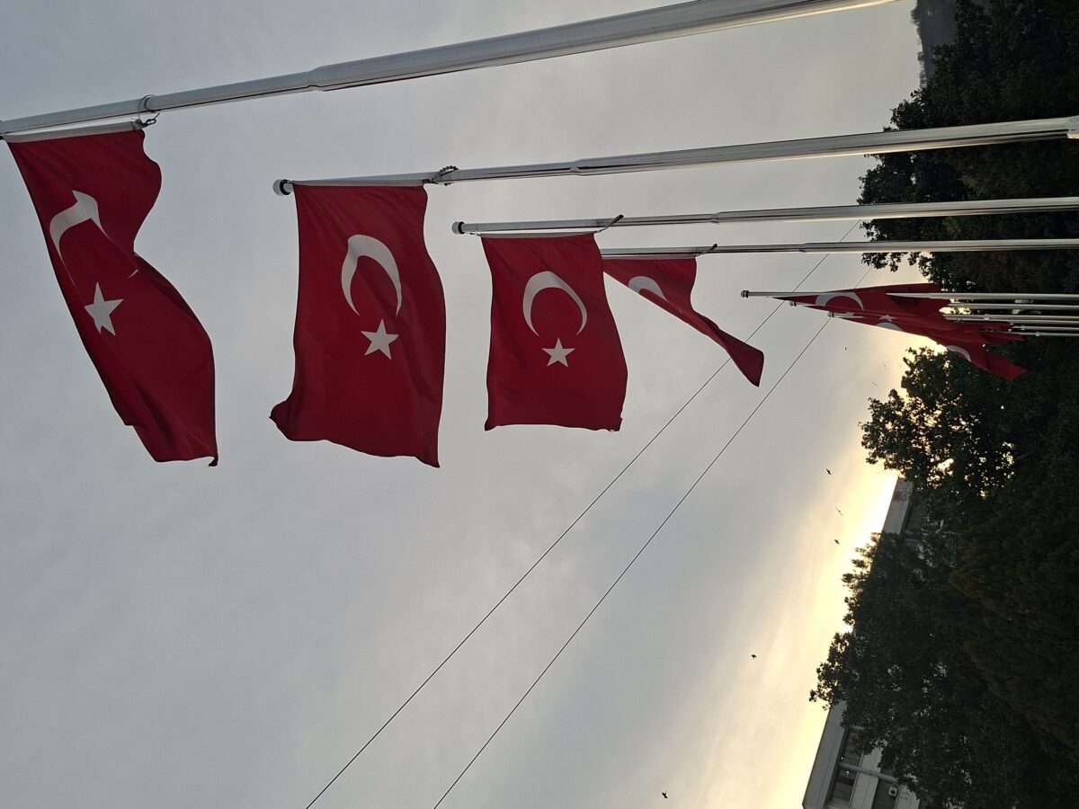 semsem217 cover